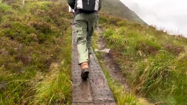 アイルランドの緑豊かな山々の狭い木道を犬が歩くハイカーのスローモーションリアビュー 谷の濃い霧と雨の日 — ストック動画