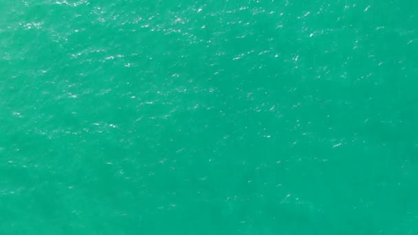 Zümrüt Yeşili Bir Meksika Denizinin Üzerinde Uçuyor — Stok video