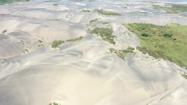 Okyanusun Yanındaki Kum Tepeleri — Stok video