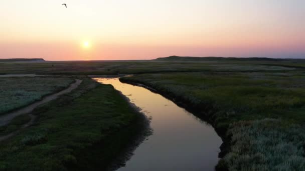 Lar Teksas Adasının Üzerinde Pembe Günbatımını Geri Çekiyorlar Dalgalar Havada — Stok video