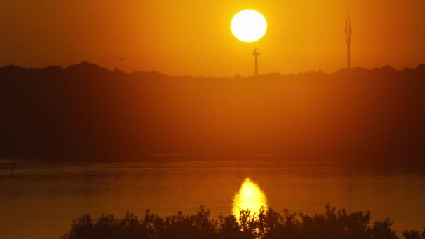 オランダ オレンジの空を飛ぶ鳥とテセル島の海岸の上に赤いカラフルな夕日 — ストック動画