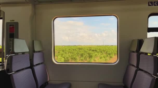 Κοιτάζοντας Έξω Από Παράθυρο Του Τρένου Αγώνων Στην Ισπανία — Αρχείο Βίντεο