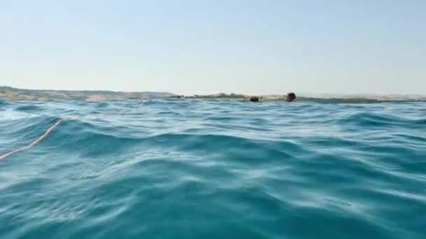 Famiglia Nuoto Bagno Mare Aperto Lontano Dalla Costa Con Salvagente — Video Stock