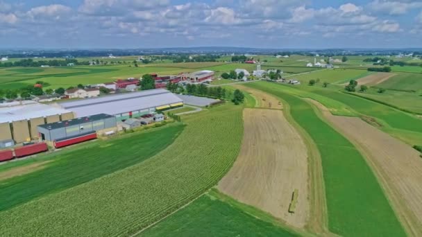 Uma Vista Aérea Itinerante Campos Milho Colheitas Com Pátio Trem — Vídeo de Stock