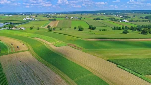 Veduta Aerea Sui Campi Mais Sui Raccolti Con Macchie Colore — Video Stock