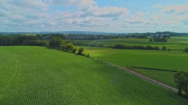 美しい夏の日に色のパッチを持つトウモロコシ畑や収穫作物の空中旅行ビュー — ストック動画