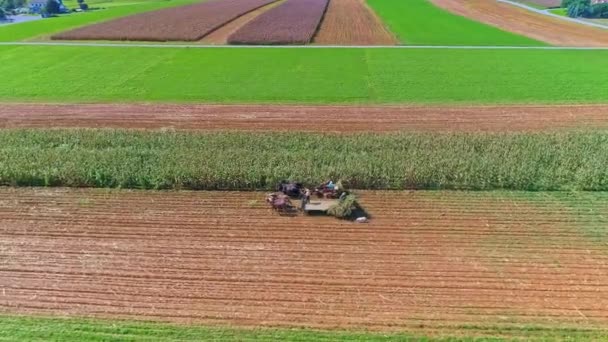 Letecký Pohled Venkovskou Ameriku Amish Farmlands Amish Sklizeň Plodin Slunný — Stock video