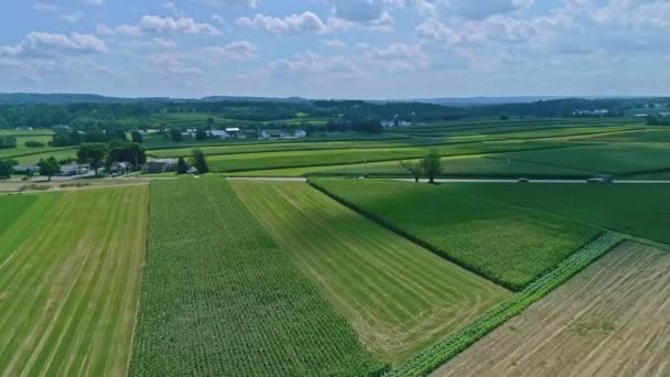 Aerial Traveling View Corn Fields Harvesting Crops Patches Color Beautiful — Stock Video