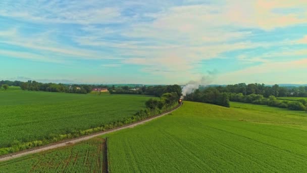 Flyglandskap Jordbruksmark Och Antik Ångmaskin Passerar Genom Majsfälten Försommarmorgon — Stockvideo