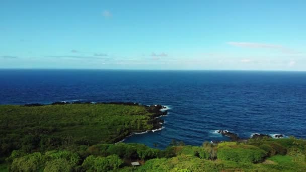 Снимок Беспилотника Зеленым Растительным Побережьем Мауи Голубым Океаном Заднем Плане — стоковое видео