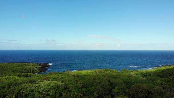 Ascension Littoral Tropical Avec Vue Sur Océan Par Temps Ensoleillé — Video