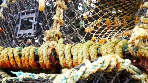 Gestapelte Leere Fischereiindustrie Hummernetzkörbe Dolly Rechts Nahaufnahme — Stockvideo