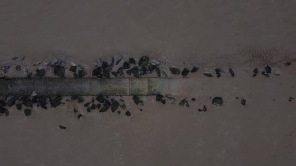 低潮标记信标上方的空中观鸟在沙滩上的灰蒙蒙的海滩上俯瞰着洋娃娃的左上方 — 图库视频影像