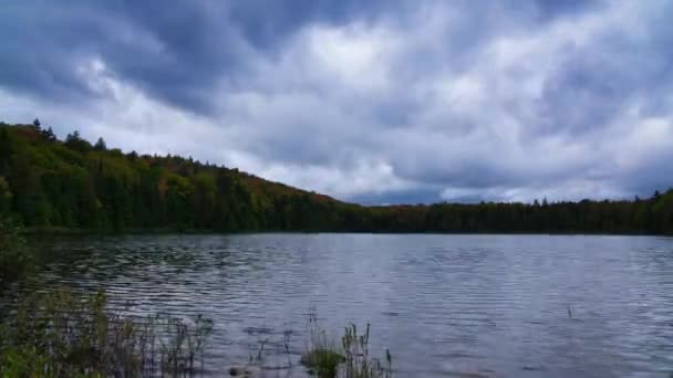 Cloudy Timelapse Lac Mallard Mont Tremblant National Park — Vídeo de Stock