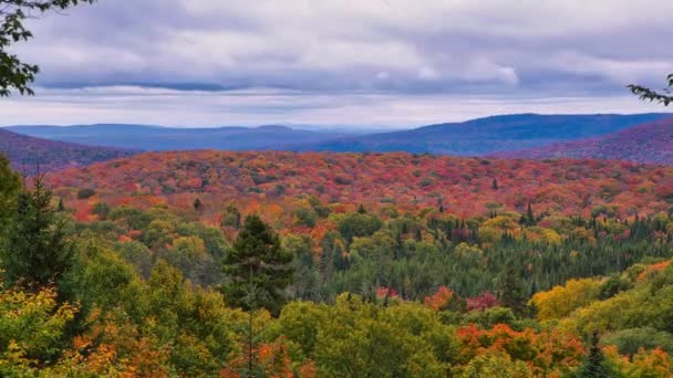 Podzimní Čas Horách Národního Parku Mont Tremblant — Stock video