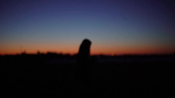 Jong Meisje Silhouet Bij Zonsondergang Landschap — Stockvideo