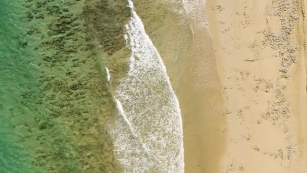 Aerial Stigande Avslöjar Personer Som Tar Promenad Stranden Porto Santo — Stockvideo