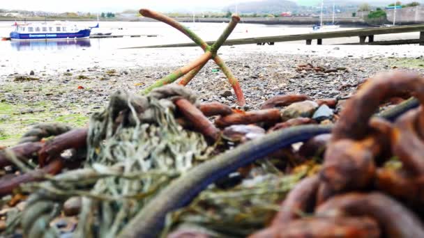 Σκουριασμένα Φύκια Κάλυψαν Άγκυρα Και Αλυσίδες Στο Χαμηλό Παλίρροια Λιμάνι — Αρχείο Βίντεο