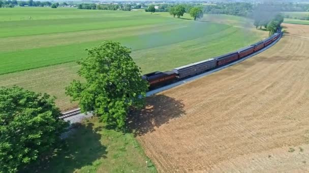 Veduta Aerea Antico Motore Vapore Carrozze Passeggeri Che Viaggiano Lungo — Video Stock