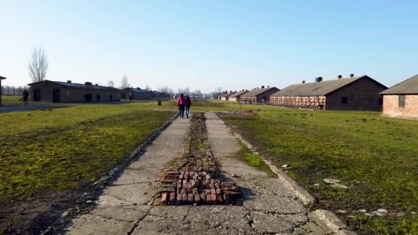 アウシュビッツ強制収容所記念碑 ポーランドの強制収容所 アウシュビッツでのツアー アウトドアアウシュビッツキャンプ — ストック動画