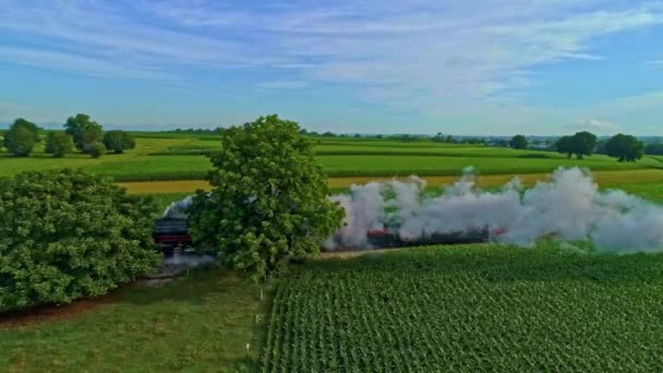 Flygfoto Över Antik Ångmaskin Och Passagerarvagnar Som Reser Längs Landsbygden — Stockvideo