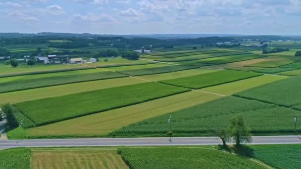 Eine Luftaufnahme Von Maisfeldern Und Ernte Mit Farbflecken Einem Schönen — Stockvideo