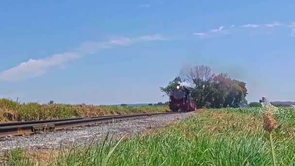 Lage Hoek Van Een Stoomtrein Met Rook Stoom Een Winderige — Stockvideo