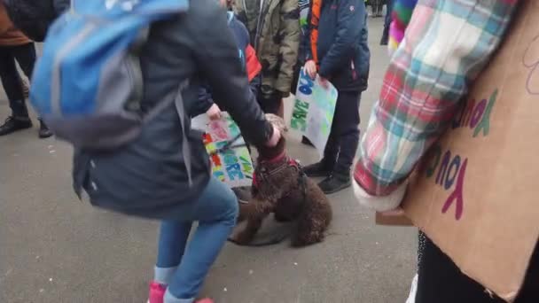 Primo Piano Cane Circondato Bambini Una Manifestazione Sul Cambiamento Climatico — Video Stock