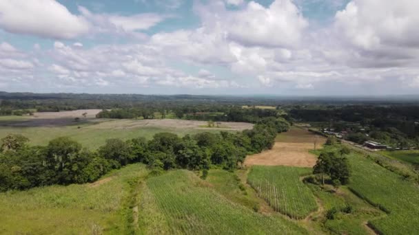 Slow Cinematic Push Movement Farm Land Central America Aerial Footage — Stock Video
