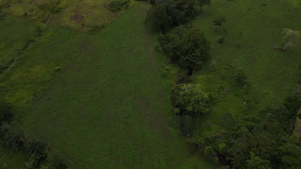 在哥斯达黎加 向高度活跃的阿基纳火山的电影式空中推进 发现了巨大的山脉顶部有厚重的云彩4K个热门旅游景点无人驾驶飞机镜头 — 图库视频影像
