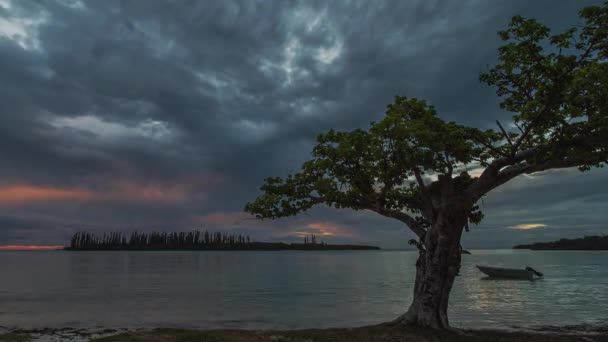 Ilha Pines Praia Timelapse Nuvens Dramáticas Céu Vermelho Profundo Árvore — Vídeo de Stock