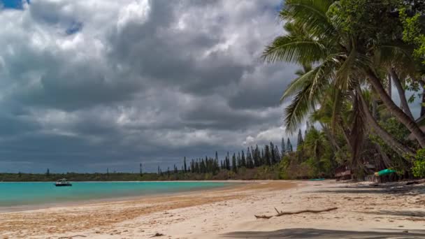 Timelapse Kuto Bay Isla Pines Playa Palmeras Nubes Dramáticas Soplan — Vídeos de Stock