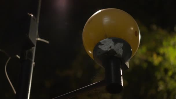 英国のロンドンの交差点で夜に点滅する黄色の歩行者横断ライト 安全標識 — ストック動画