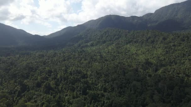 Panorama Des Riesigen Regenwaldes Babinda Scenic Reserve Cairns Far North — Stockvideo