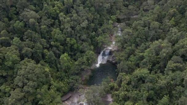 Cascata Popular Cachoeiras Josephine Parque Nacional Wooroonooran Região Cairns Queensland — Vídeo de Stock