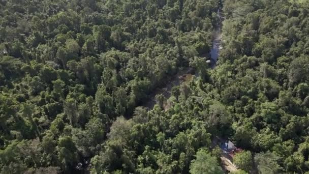 Piccolo Fiume Stretto Mezzo Alla Lussureggiante Foresta Pluviale Babinda Boulders — Video Stock