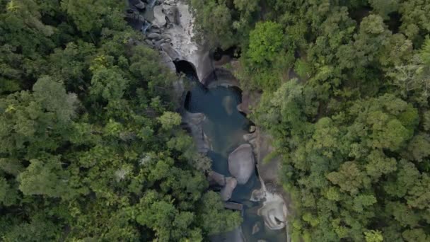 Vista Dall Alto Del Torrente Tra Massi Fitta Vegetazione Nella — Video Stock