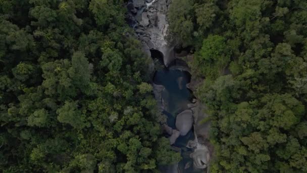 Small Creek Surrounded Rugged Rocks Green Woodland Babinda Boulders Cairns — Stock Video
