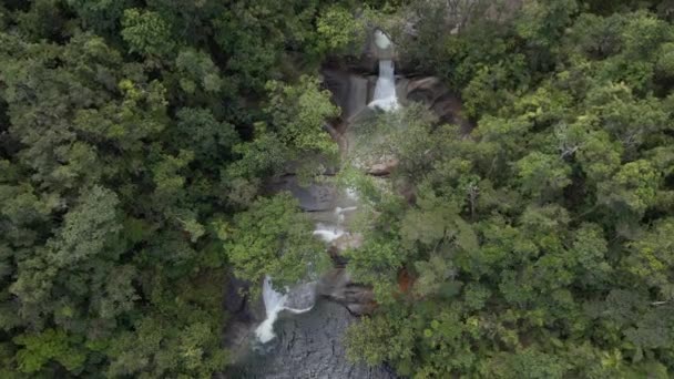 Flygfoto Över Josephine Falls Det Avlägsna Området Wooroonooran National Park — Stockvideo