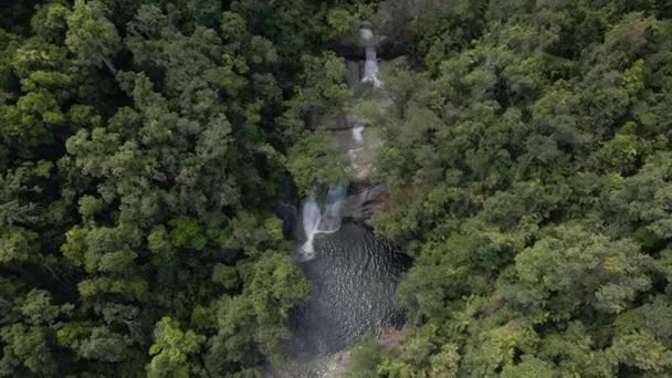 Aerial View Josephine Falls Amidst Lush Rainforest Wooroonooran Cairns Qld — Stock Video