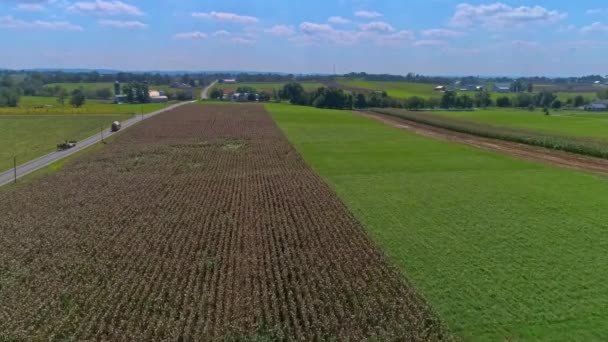 Aerial View Rural America Amish Farmlands Fields Wymagane Zbiory Słoneczny — Wideo stockowe