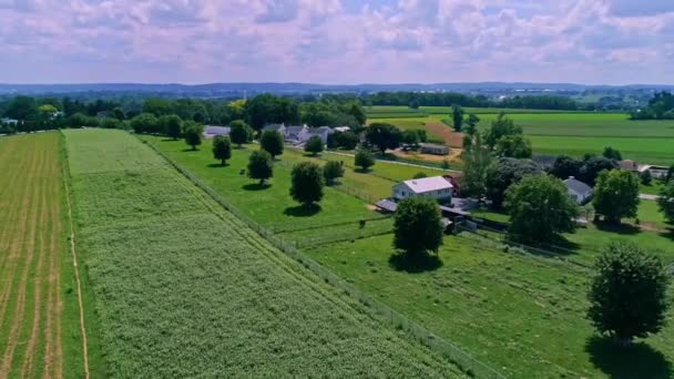 Uma Vista Aérea Dos Campos Milho Campo Das Terras Agrícolas — Vídeo de Stock
