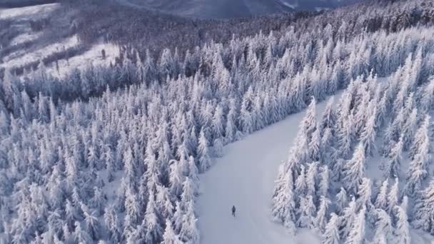 Laufen Auf Wanderweg Zwischen Weißem Gefrorenem Wald Winterlandschaft — Stockvideo