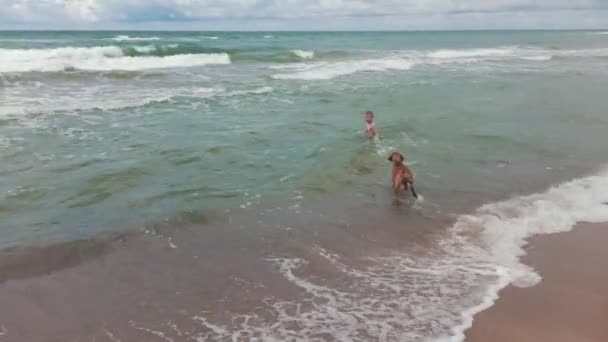 Niño Jugando Con Perro Joven Húngaro Vizsla Mar Báltico Día — Vídeos de Stock