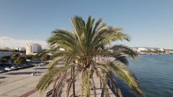Promenade Portimao Der Algarve Portugal Luftaufnahme — Stockvideo