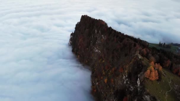 スイスのルツェルンにあるブルゲンシュトックの崖の上を空中で飛ぶ山頂は スイスアルプスの秋の夕日の間 雲の海に囲まれています — ストック動画