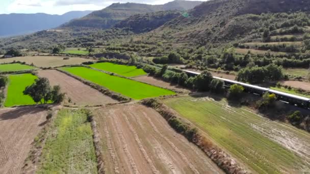 Aérea Viejo Tren Diesel Que Viaja Largo Los Campos Bajo — Vídeos de Stock