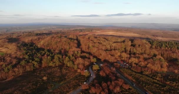 Aerial Autumnal Woodbury Common Heathland Bathed Afternoon Sun Inglês Dolly — Vídeo de Stock