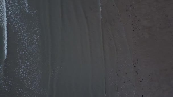 Letecký Pohled Ptačí Perspektivy Vlnách Přílivu Odlivu Směrem Písečnému Pobřeží — Stock video