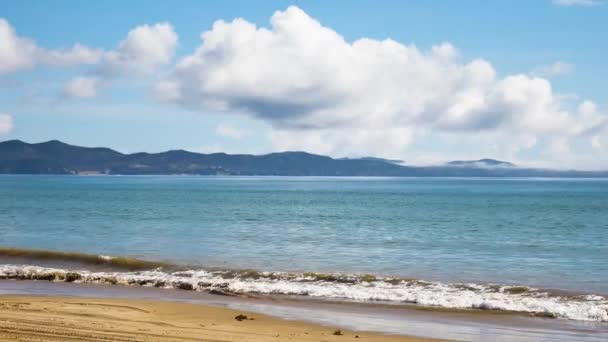 Tropical Maitai Bay Con Llegar Agua Playa Arena Durante Día — Vídeos de Stock